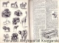 skanowanie0003.jpg
