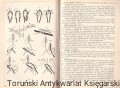 skanowanie0009.jpg