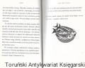 iki5.jpg