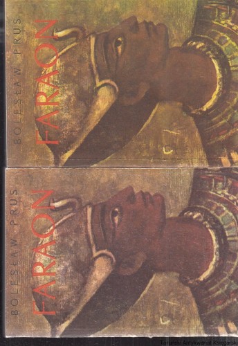 IMG.jpg