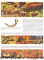skanowanie0021.jpg