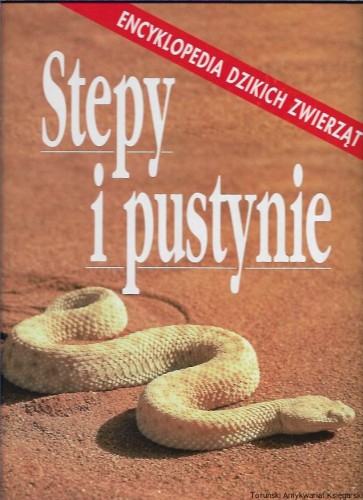 stepy.jpg