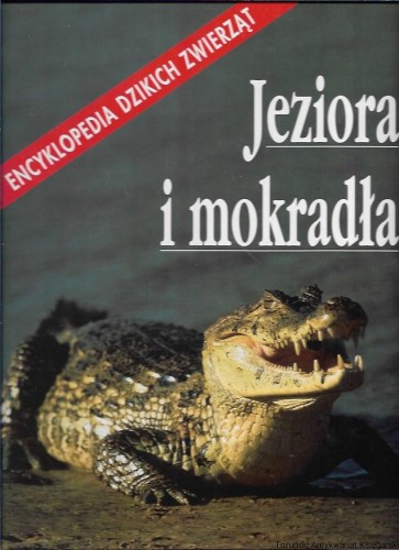 jez.jpg