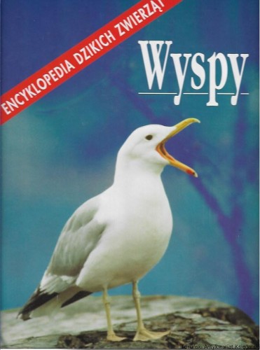 wys.jpg
