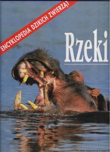 rzeki.jpg