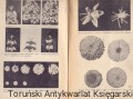 skanowanie0007.jpg