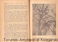 skanowanie0014.jpg