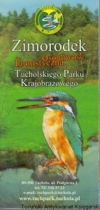Zimorodek : osobliwość faunistyczna Tucholskiego Parku Krajobrazowego  / Brak autora 