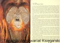 skanowanie0011.jpg