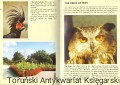skanowanie0012.jpg