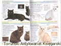 skanowanie0016.jpg