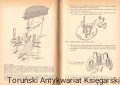 skanowanie0004.jpg