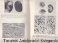 skanowanie0028.jpg