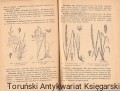 skanowanie0019.jpg