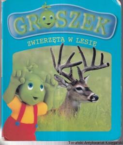 Groszek zwierzęta w lesie / Anna Sójka, Wojciech Wejner