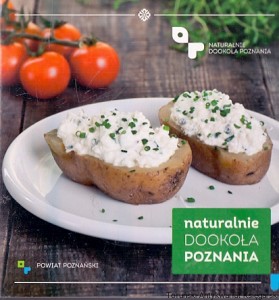 Naturalnie dookoła Poznania /  Praca zbiorowa 
