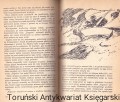 skanowanie0014.jpg