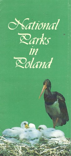 skanowanie0022.jpg