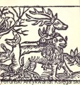 skanowanie0015.jpg