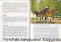 skanowanie0017.jpg