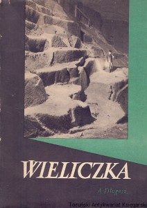 Wieliczka : Magnum Sal kultury materialnej  / Alfons Długosz  