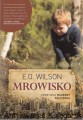 Mrowisko_0001.jpg