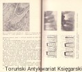skanowanie0039.jpg