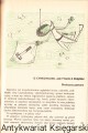 Sękowski Galwanotechnika domowa_0006.jpg