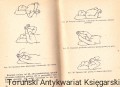 skanowanie0023.jpg