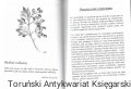 od dep3.jpg