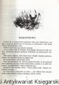 rogas_0003.jpg