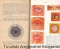 skanowanie0029.jpg