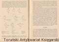 skanowanie0025.jpg