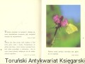skanowanie0019.jpg