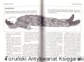 skanowanie0004.jpg