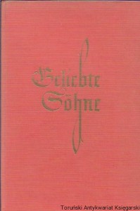 Geliebte Sohne / Howard Spring 