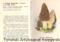 skanowanie0015.jpg