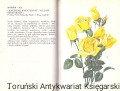 skanowanie0016.jpg