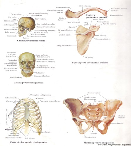 skanowanie0019.jpg
