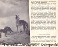 skanowanie0029.jpg