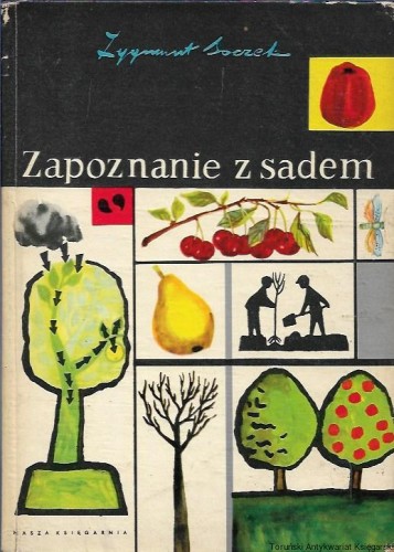 za.jpg