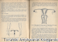 Skan_20251121 (3).png
