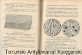 Skan_20251217 (20).jpg