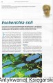 Skan_20251224 (23).jpg