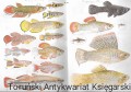 Skan_20260105.jpg
