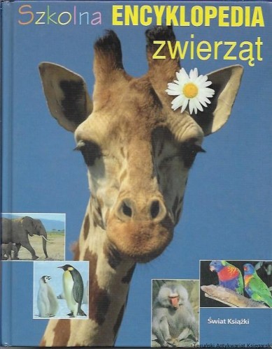 szk.jpg