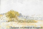 Pocztówka. Akwarela „Pejzaż Polski” - Wiktor Zin  / Brak autora 