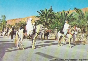 Pocztówka. Sud Algerien : Metili Fete du Mehari-Mars 1983  /Brak autora 