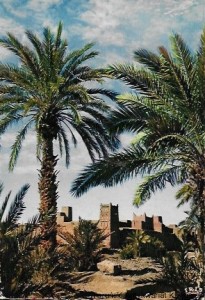 Pocztówka. Sud Marocain. Fortrees in the Dead valley  / Brak autora