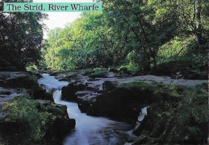  Pocztówka. The Strid, River Wharfe  / David Tarn  (fot.)